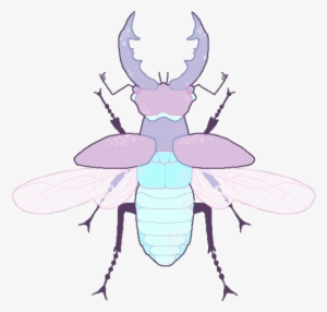 Jpg Freeuse Download Bugs Drawing Aesthetic - Bug Transparent #2159046