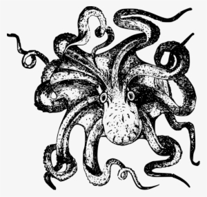 Clip Art Free Library Acct Solutions New Robotic Arm - Sea Monster Clip Art #2159300