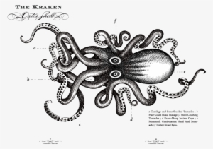 Svg Black And White Download Drawing Octopus Kraken - Kraken Rum Black Spiced 1l #2159344