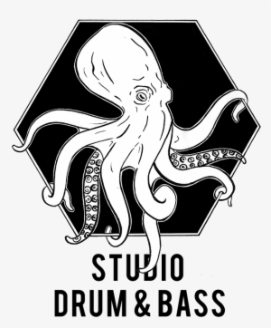 Studio Drum And Bass Logo - Drum And Bass #2159553