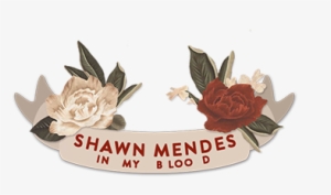 Support Shawn Mendes' New Single "in My Blood" By Adding - Picsart Photo Studio #2160426