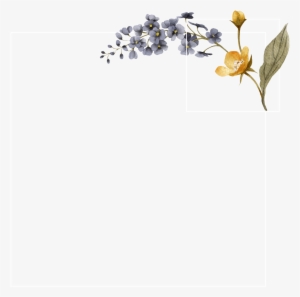 Visit - 10er-set Geschenkanhänger »schön, Dass Es Dich Gibt« #2160690