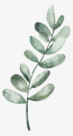 Report Abuse - Leaf Watercolour #2160817