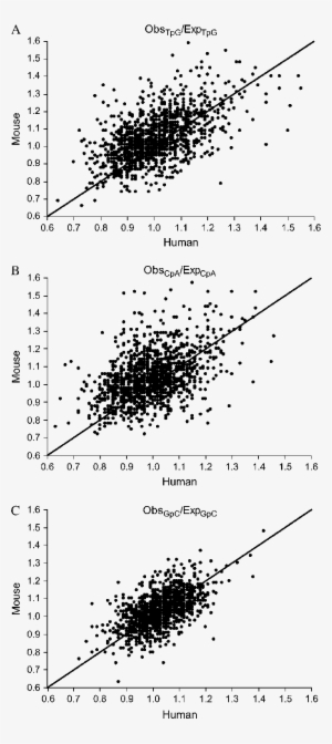 Obs/exp Ratios For Tpg, Cpa, And Gpc Dinucleotides - Diagram #2160881