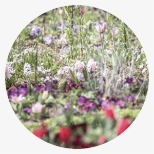 Flower Gardenhana No Niwa - Kitagawa #2161430