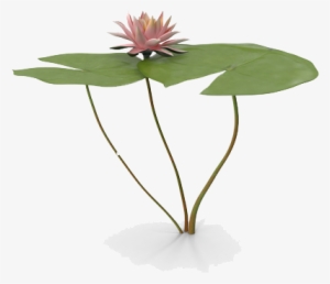 Water Lily Png Free Download - Water Lily Png #2161510