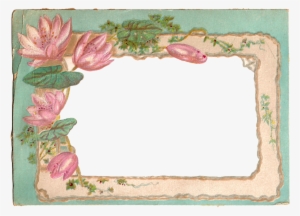 I Created This Digital Frame From A Vintage Postcard - Water Lily Frame Png #2161536