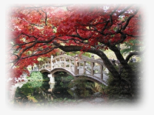 Difumine*kn* - Japanese Gardens #2162059