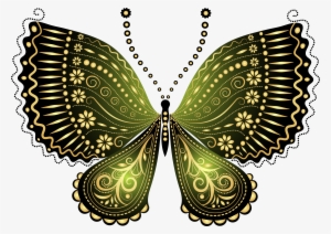 Beautiful Butterfly Images Png #2162968