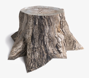 Honey Fungus - Tree Stump 3d Model Free #2163375