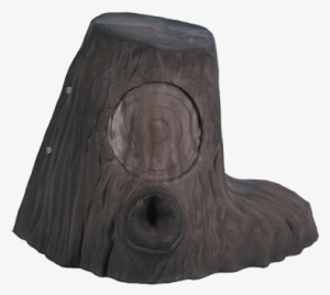 Stump-target #2163497
