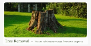 Green Scene Irrigation & Landscaping #2163657