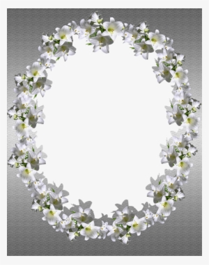 Frame, Silver, Floral, Decoration, Design - ่ Jasmine Frame Png #2163944