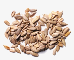 Sunflower Seeds Png Image - Sunflower Seeds #2163999