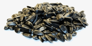 Free Png Sunflower Seeds Png Images Transparent - Semechki Png #2164033