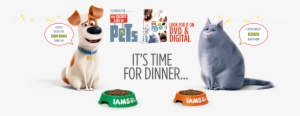 It's Time For Dinner - Secret Life Of Pets (dvd / With Ultraviolet Copy) #2164039