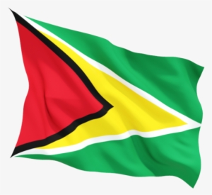 Guynana Flag #2164064