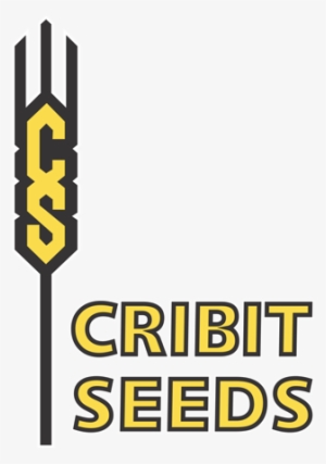 Cribit Seeds Logo Png - Portable Network Graphics #2164154