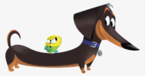 Buddy And Sweetpea - Secret Life Of Pets Little Golden Book #2164200