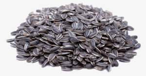 Sunflower Seeds Transparent Image - Gerbs Allergen Friendly Foods Unsalted Roasted Whole #2164201