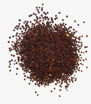 Mustard Seed, Brown - Ground Black Pepper Png #2164251