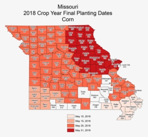 Mocorn Final - Map #2164299