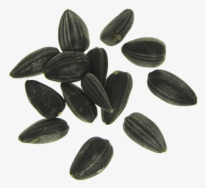 Sunflower Seeds Png - Transparent Seeds #2164377