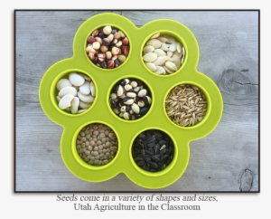 Source - Http - //naitc-api - Usu - - Lesson Plan #2164449