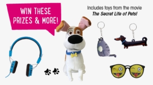 Announcing Our Fall 2016 Prize Program - Fundraising #2164474