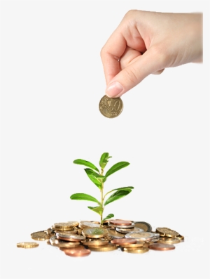 Planting-seeds - Low To Mid-middle Class Moving Up #2164598