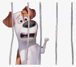 Max And Duke Cage Beta - Companion Dog #2164812