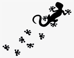 Salamander Footprints #2166202