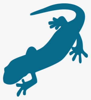 Salamander Png Pic - Salamander Clipart #2166275