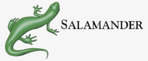 Salamander Logo Png Transparent - Salamander #2166292