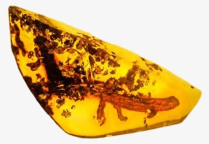 Download - Salamanders In Folklore #2166527