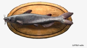 Cunning Catfish Trophy - Catfish Trophy #2166991