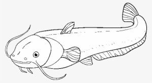 Catfish Coloring Page - Drawing #2167672