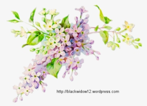Lilac No Drop Shadow - Vintage Illustration Blue Flowers #2169935