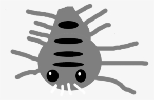 Io Fresh Water Shark - Wiki #2170079