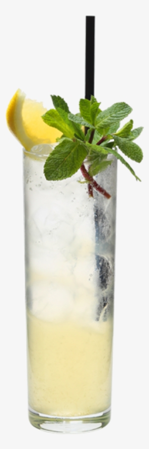 Americano Spritz - Speciality Brands Ltd #2170312