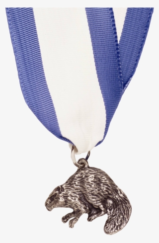 Silver Beaver Medal #2170692