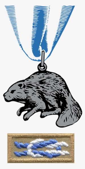 Silver-beaver - Silver Beaver Award #2170763