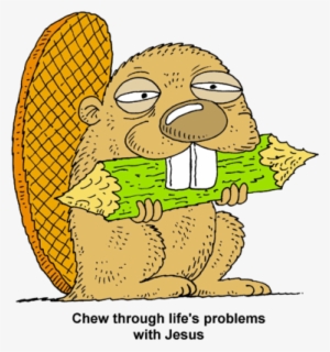 Chew Through - Beaver Chewing Wood Gif #2170949