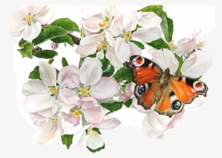 By Anna Mason Watercolor Artists, Watercolor Flowers, - Watercolor Painting #2171107