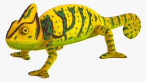 Chameleon - Chameleon Mojo #2171506