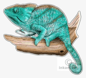 Parsons Chameleon Decal - Drawing #2171795