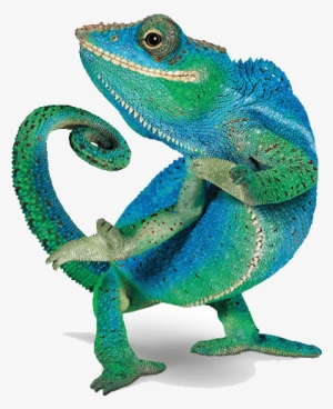 Telus Chameleon #2172323