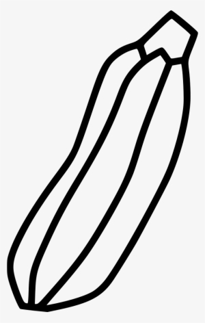 Png File - Squash #2172421