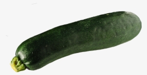 Zucchini Png Hd - Zucchini Transparent #2172590
