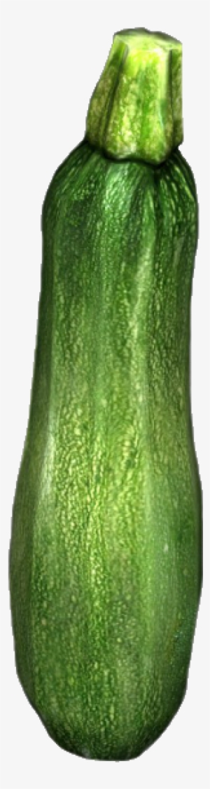 Zucchini - Zucchini Dayz #2172613